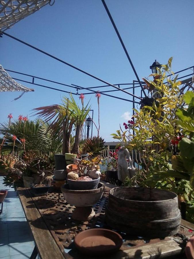 Terrazza Incanto Zinnowitz Dış mekan fotoğraf