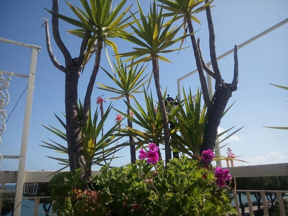 Terrazza Incanto Zinnowitz Dış mekan fotoğraf